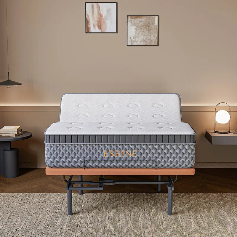 E5000+ Royal Hybrid Bundle