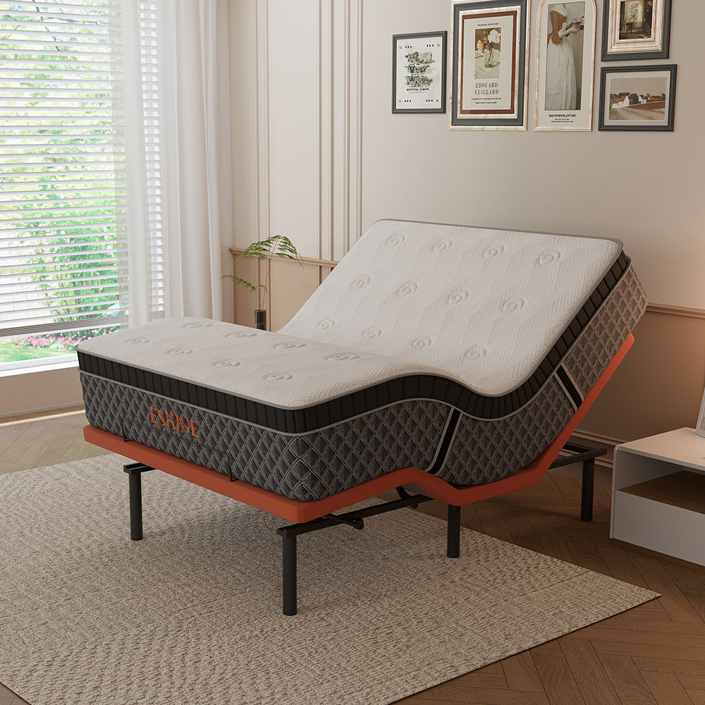 E2000+ Premium Hybrid Bundle