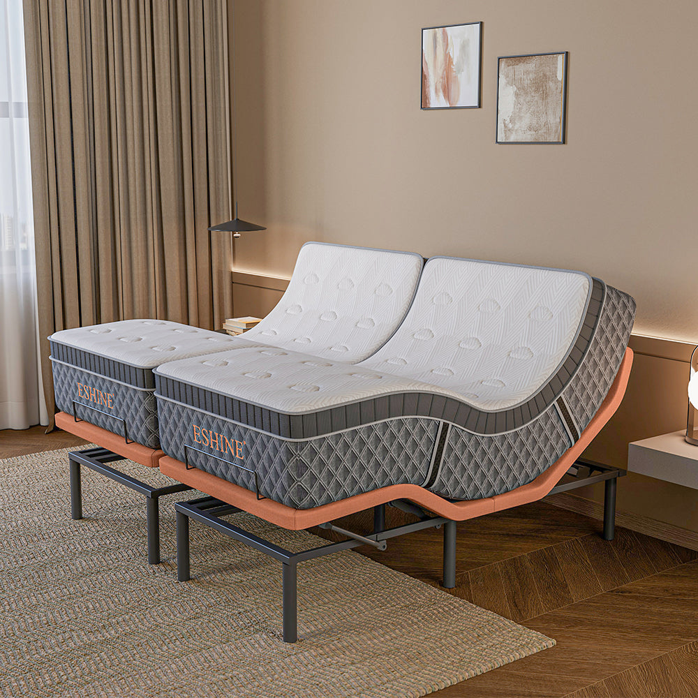 E5000+ Royal Hybrid Bundle