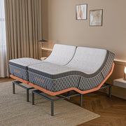 E5000+ Royal Hybrid Bundle