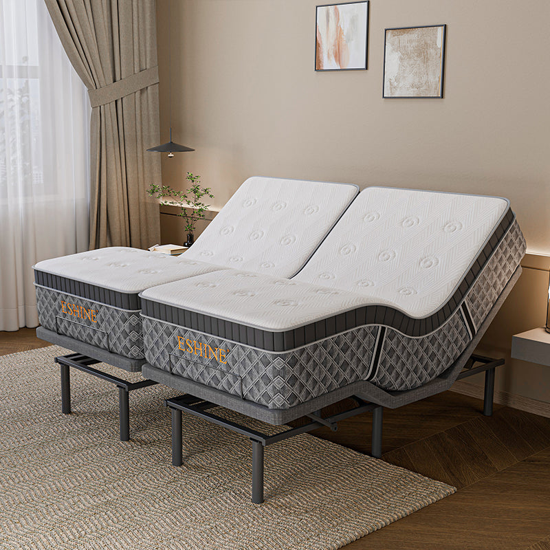 E3100+ Luxe Hybrid Bundle