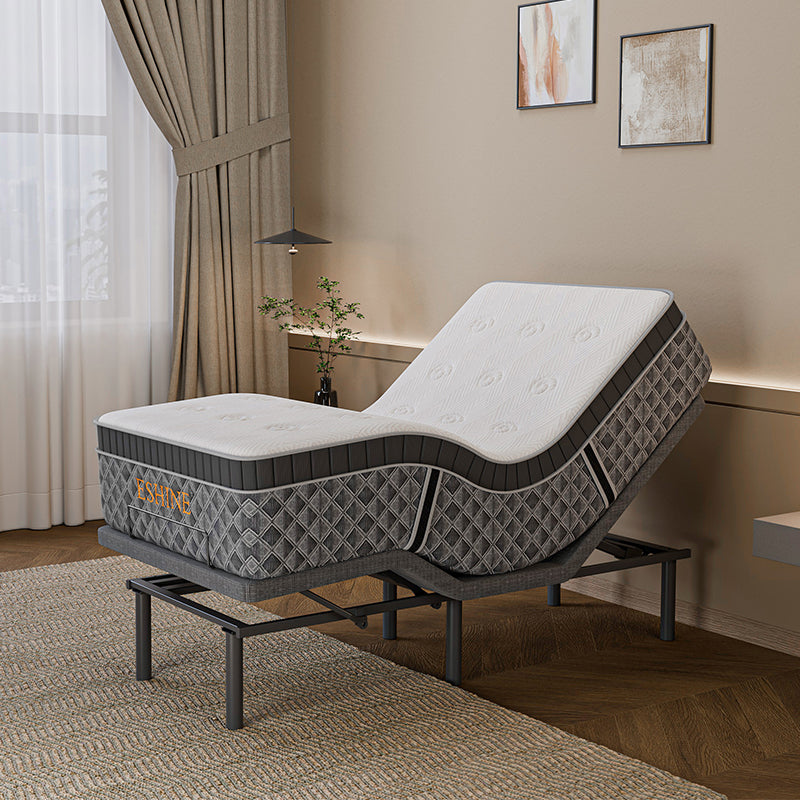 E3100+ Luxe Hybrid Bundle