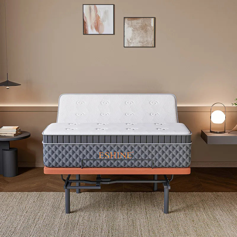 E5000+ Royal Hybrid Bundle