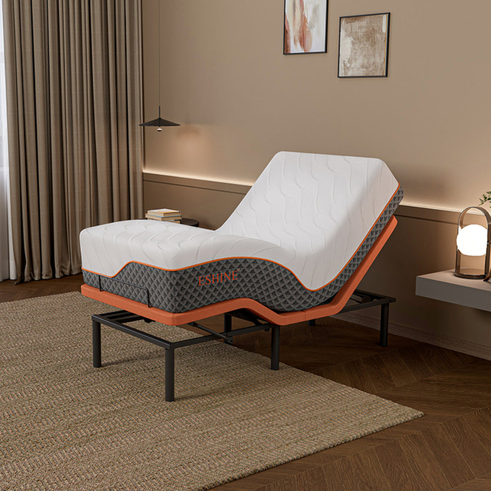 E5000+ Royal Hybrid Bundle