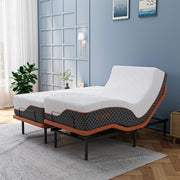 E6000+Platinum Hybrid Bundle