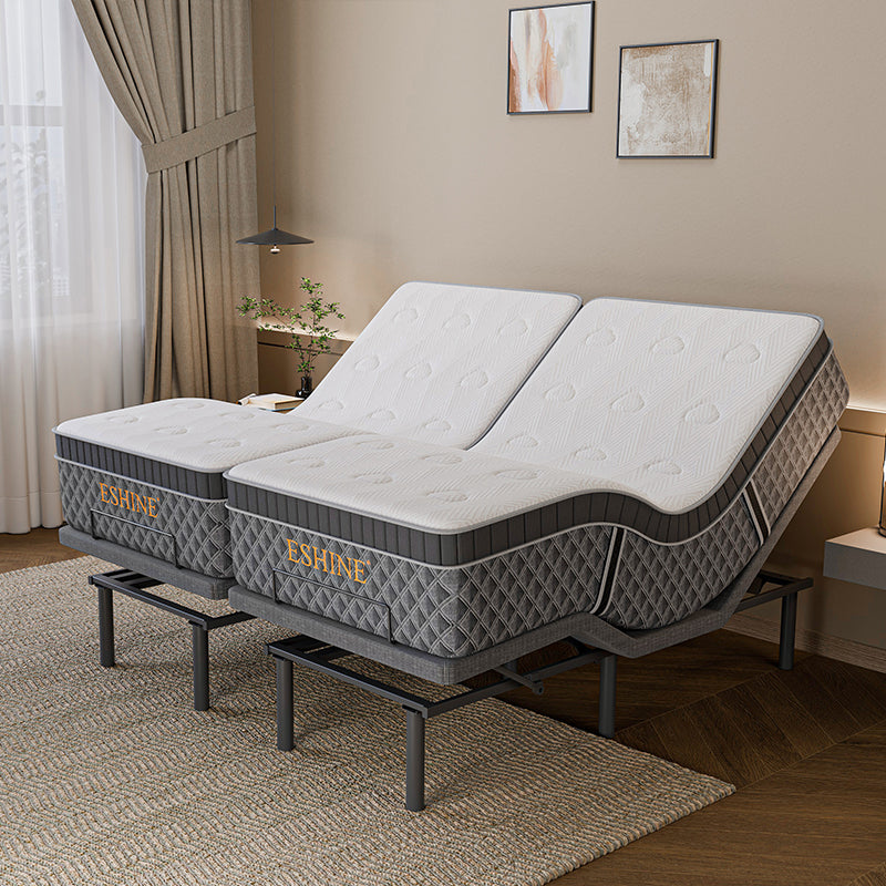 E3100+ Luxe Hybrid Bundle