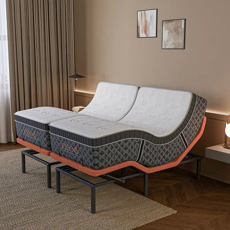 E5000+ Royal Hybrid Bundle