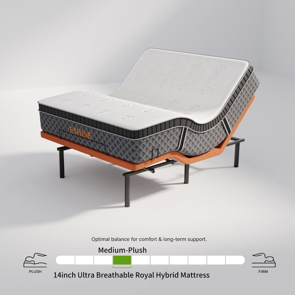 E2000+ Premium Adjustable Bundle - EshineSleep