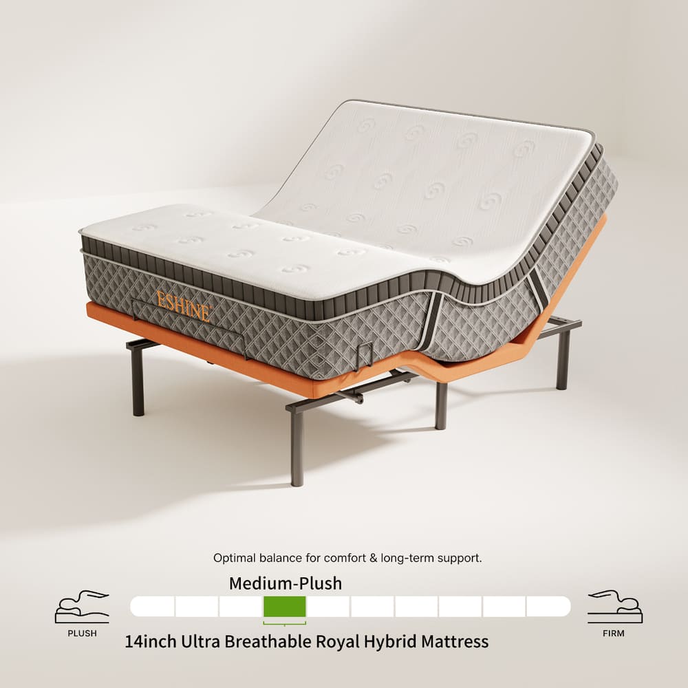 E3000+ Luxe Adjustable Bundle - EshineSleep