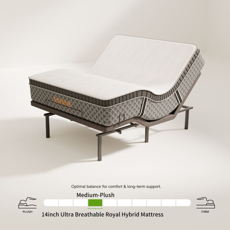 E3100+ Luxe Adjustable Bundle - EshineSleep