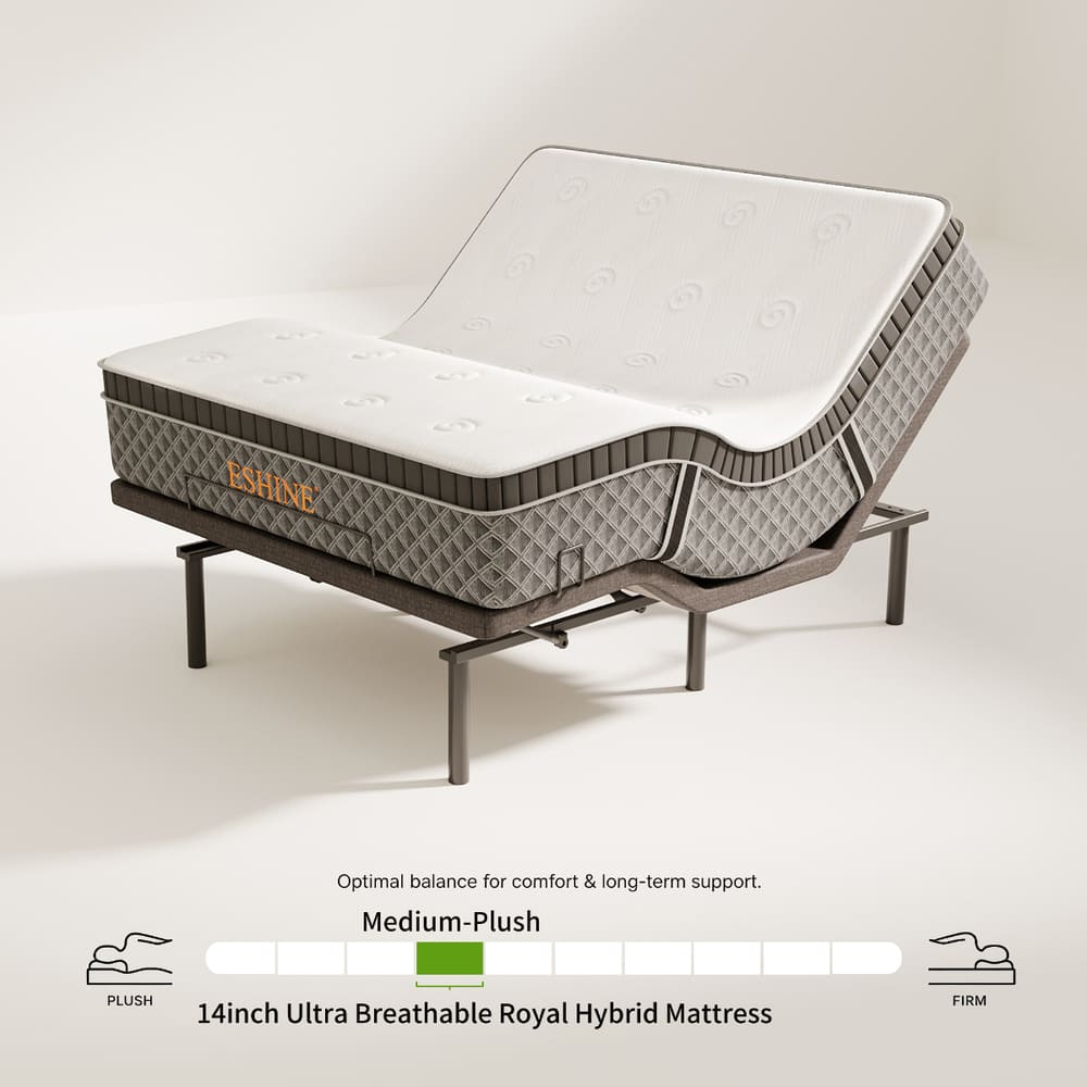 E3100+ Luxe Adjustable Bundle - EshineSleep