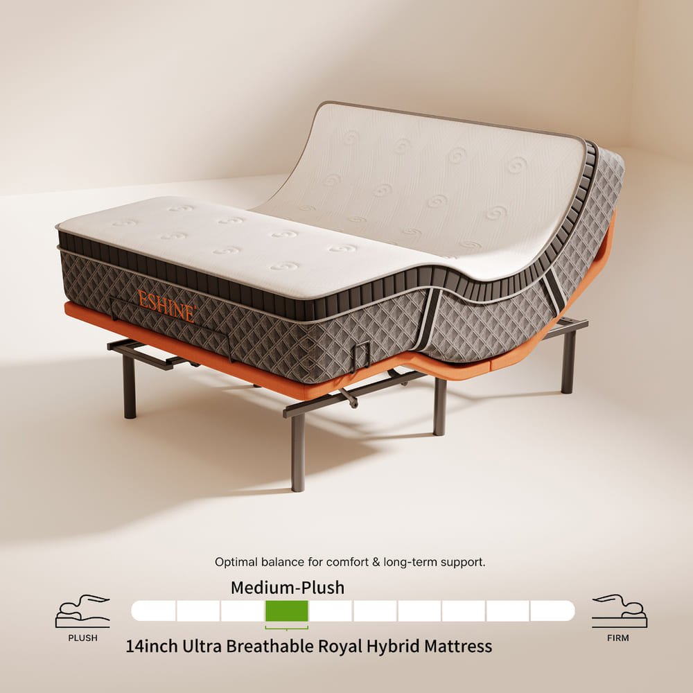 E5000+ Royal Adjustable Bundle - EshineSleep