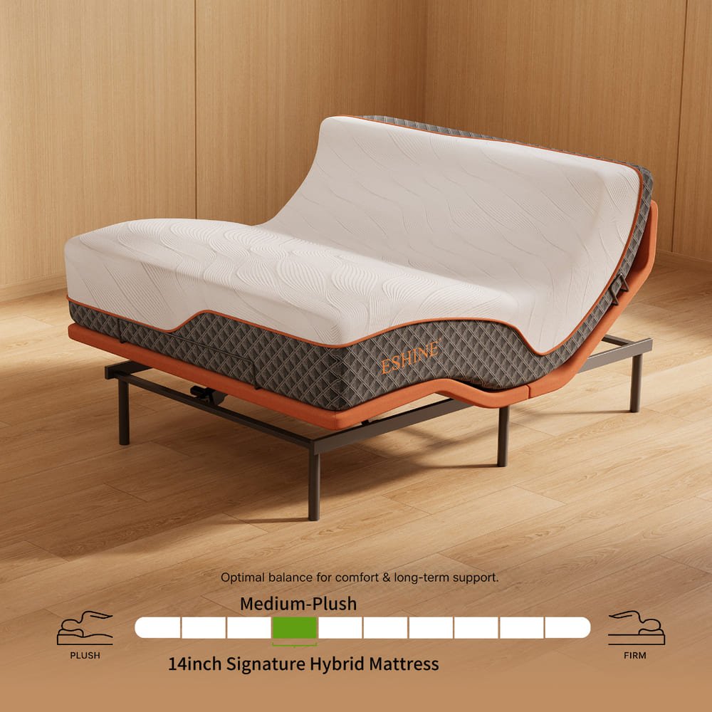 E6000+Platinum Adjustable Bundle - EshineSleep