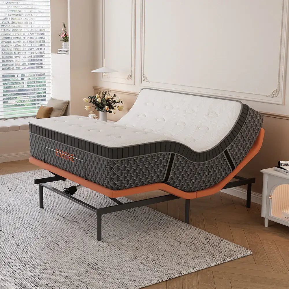 E6000+Platinum Adjustable Bundle - EshineSleep