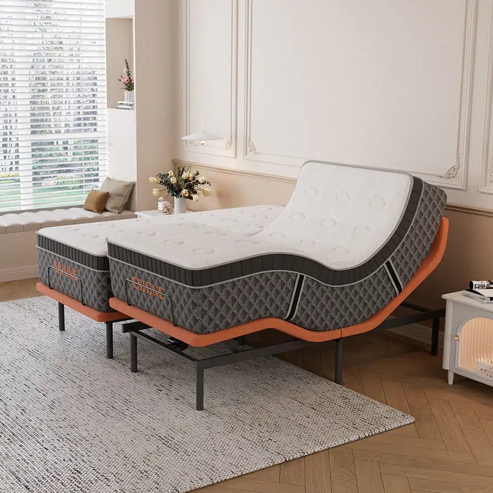 E6000+Platinum Adjustable Bundle - EshineSleep