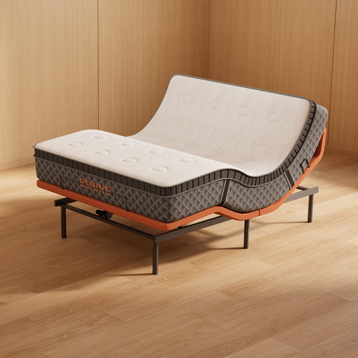 E6000+Platinum Adjustable Bundle - EshineSleep