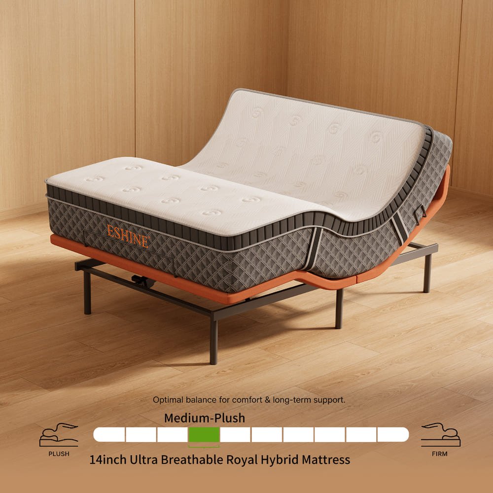 E6000+Platinum Adjustable Bundle - EshineSleep